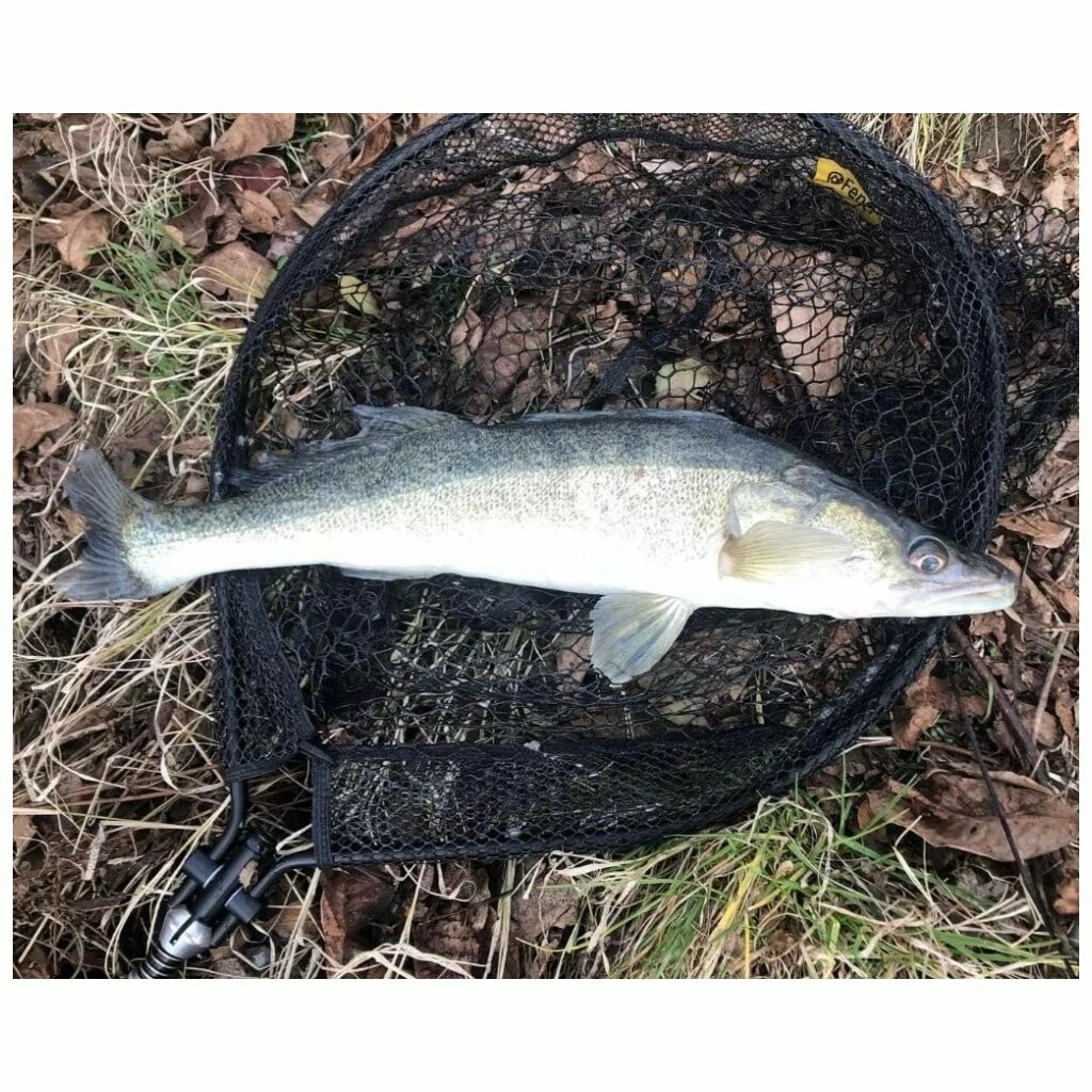 Fencl přívlačový podběrák PREDATOR s pogumovanou sítí VÝPRODEJ