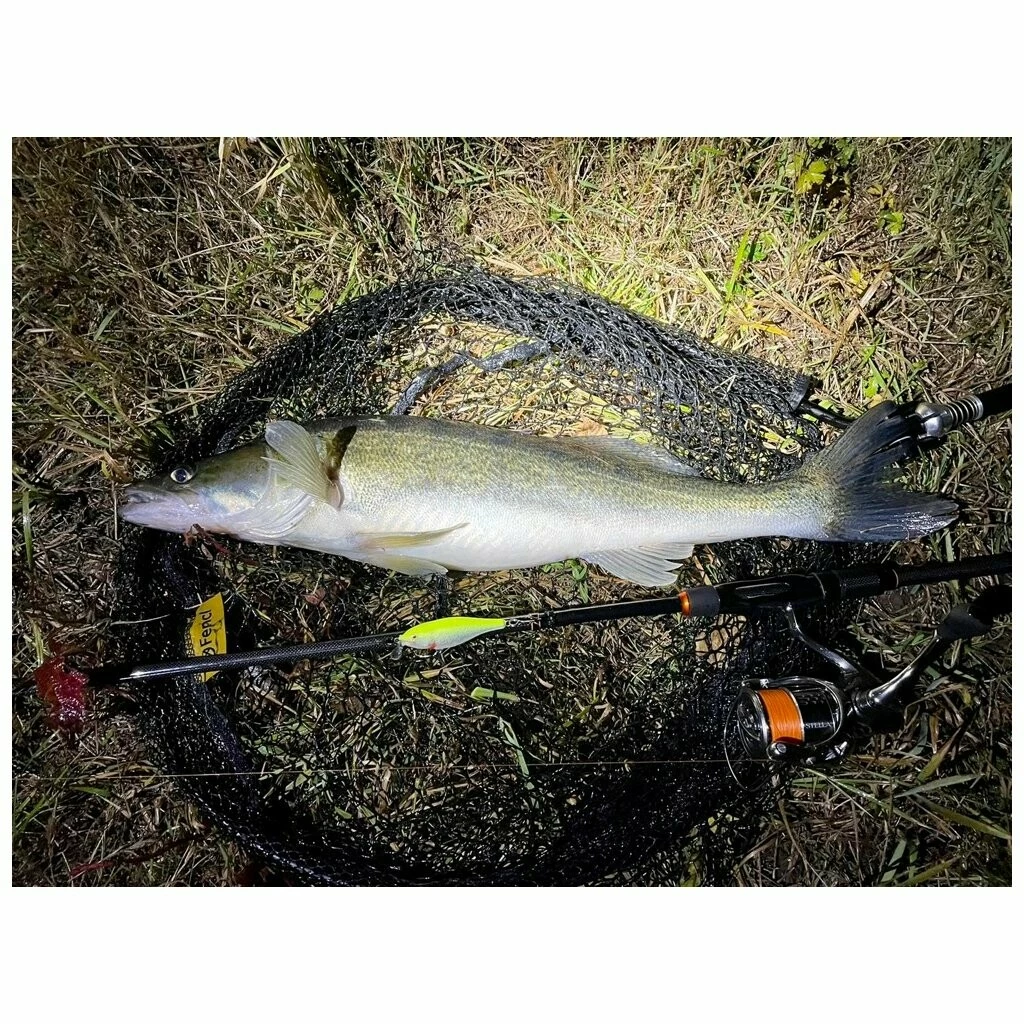 Fencl přívlačový podběrák PREDATOR s pogumovanou sítí VÝPRODEJ