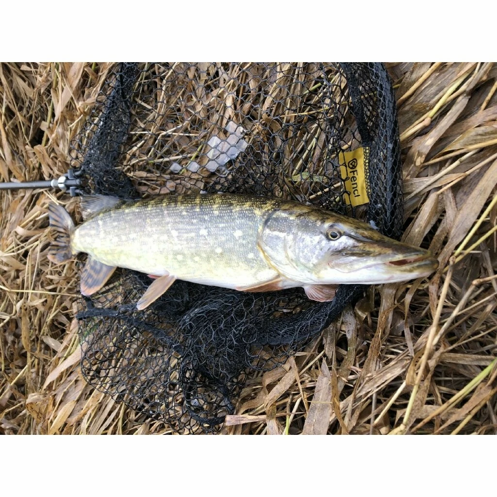 Fencl přívlačový podběrák PREDATOR s pogumovanou sítí VÝPRODEJ