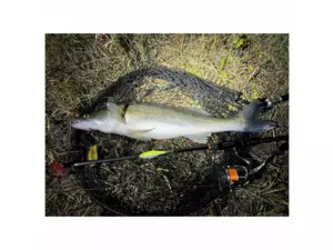 Fencl přívlačový podběrák PREDATOR s pogumovanou sítí VÝPRODEJ