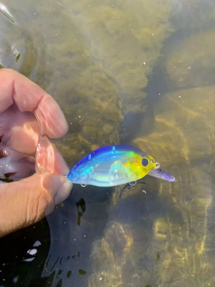 QUANTUM 10G 6,5CM HOT PERCH FAT MINNOW SR VÝPRODEJ