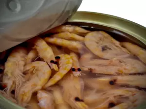 LK Baits Natur Canned Shrimps 100g