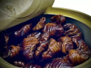 LK Baits Natur Canned Silkworm 35g