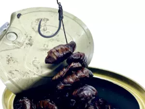 LK Baits Natur Canned Silkworm 35g