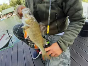 SPORTEX přívlačový prut Black Pearl GT-3 2-díl 240cm / 10g VÝPRODEJ