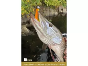 Nástěnný rybářský kalendář na rok 2024