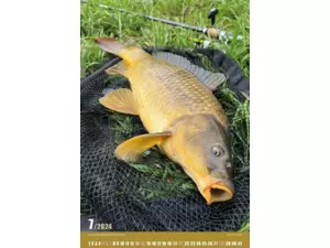 Nástěnný rybářský kalendář na rok 2024