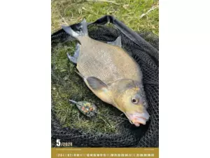 Nástěnný rybářský kalendář na rok 2024