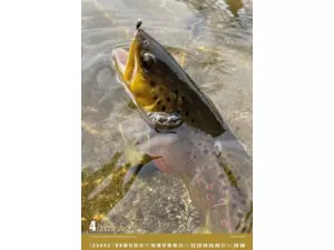 Nástěnný rybářský kalendář na rok 2024