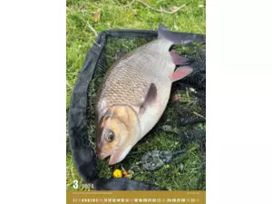 Nástěnný rybářský kalendář na rok 2024