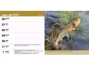 Stolní rybářský kalendář na rok 2024 VÝPRODEJ