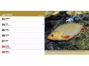Stolní rybářský kalendář na rok 2024 VÝPRODEJ