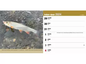 Stolní rybářský kalendář na rok 2024 VÝPRODEJ
