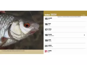 Stolní rybářský kalendář na rok 2024 VÝPRODEJ