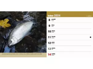 Stolní rybářský kalendář na rok 2024 VÝPRODEJ