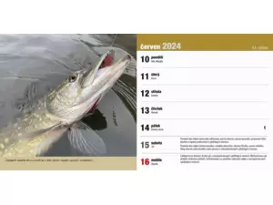 Stolní rybářský kalendář na rok 2024 VÝPRODEJ