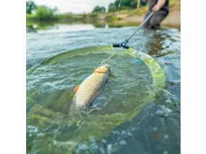 Korum Podběráková Hlava Fast Net Head 22" AKCE