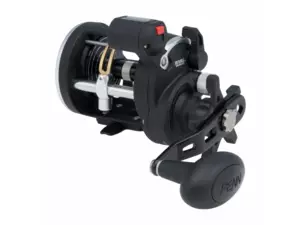 PENN RIVAL 20 LW LC LH