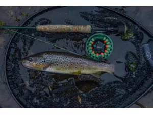 Wychwood muškařský prut Drift MKII Fly Rod 7ft #3