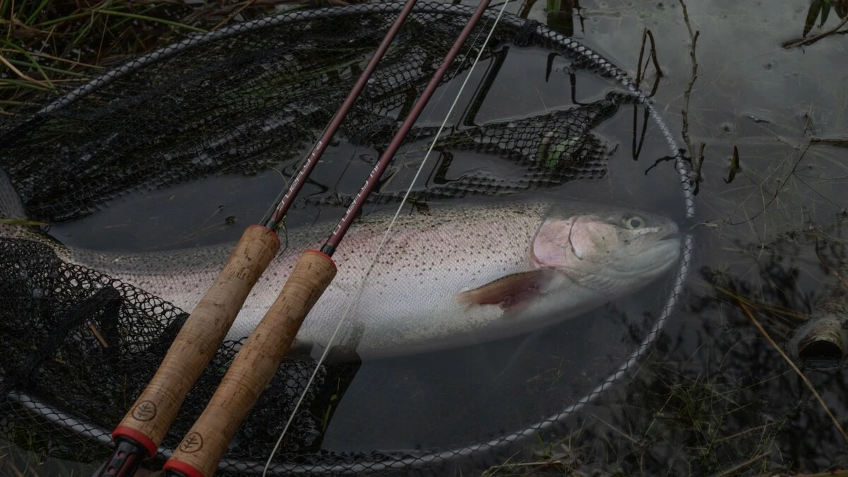 Wychwood muškařský prut Truefly FA (FastAction) 9ft #6