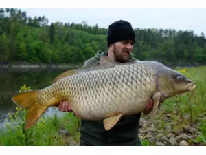 Sportcarp ztužená šňůrka Maximus Skin 20 m