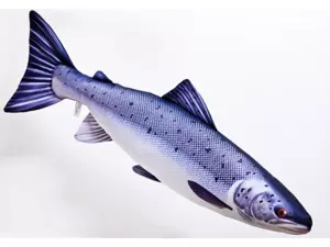 GABY polštářek LOSOS standart 90cm VÝPRODEJ