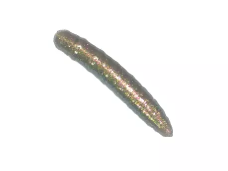 Revol Baits nástraha Larva 35mm příchuť sýr-česnek, barva šedý chameleon 15ks
