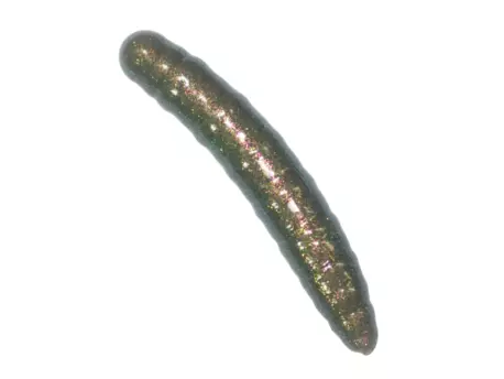 Revol Baits nástraha Larva 50mm příchuť sýr-česnek, barva šedý chameleon 10ks