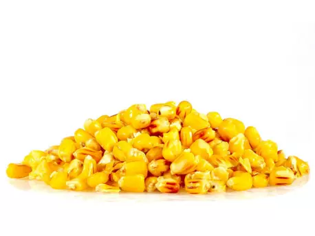 Sportcarp nakládaná kukuřice Sweet Corn