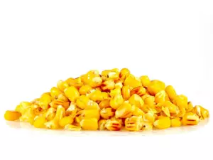 Sportcarp nakládaná kukuřice Sweet Corn