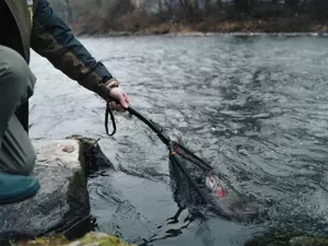 Přívlačový podběrák Delphin FoldSPIN