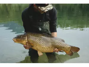 Behr prsačky PVC Velikost: vel. 42 (8603142)