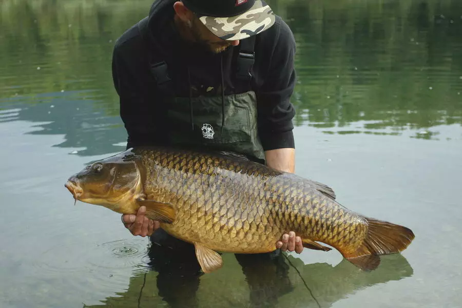 Behr prsačky PVC Velikost: vel. 44 (8603144)