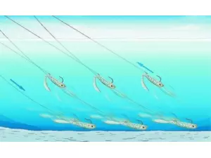 QUANTUM Joker lure FIRETIGER 8,5cm / 5g (3ks)