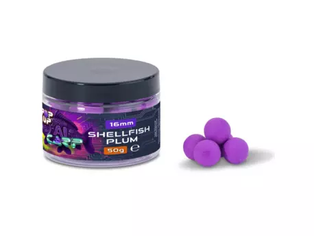 SAENGER Anaconda pop up AI Carp 50g 16mm Shellfish & Plum