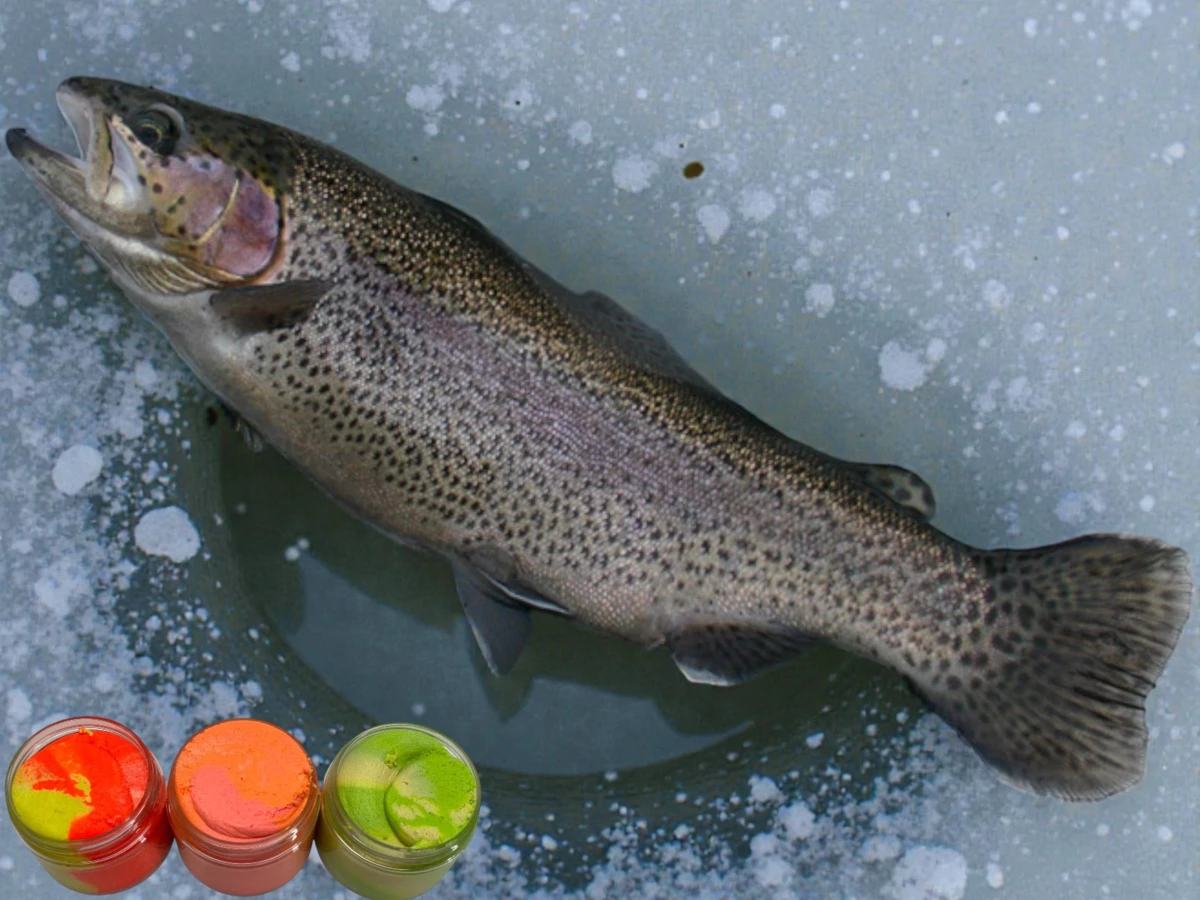 Sportcarp těsto na pstruhy 60 g Příchuť: Česnek