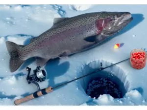 Sportcarp nástraha na pstruhy 25 g Příchuť: Jikra