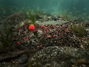 Pellet box Delphin Reaxe READY&GO