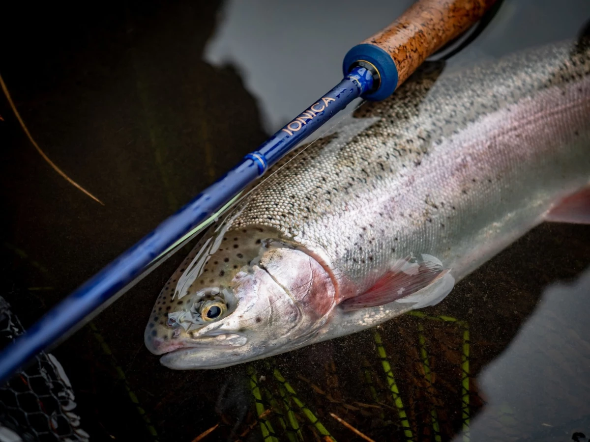 Wychwood muškařský prut Ionica Fly 9ft 6inch AFTMA #7 4-díl