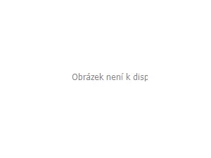 ZFISH Pean Rovný Premium Quality