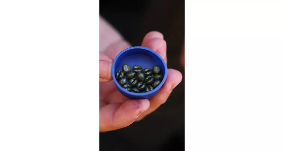 Carp'R'Us Carp´R´Us Zátěžové broky Camo Shotz Green 15g
