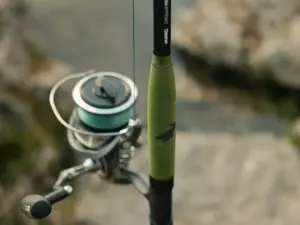 Delphin Prut ENERGY Catfish