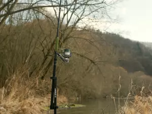 Delphin Prut ENERGY Catfish