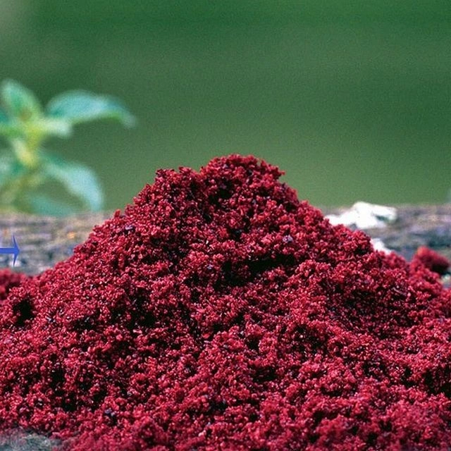 STARBAITS Haith's Robin Red 1kg