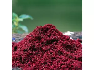 STARBAITS Haith's Robin Red 1kg