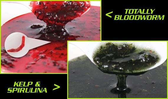 Dip STARBAITS Layerz Bloodworm 200ml