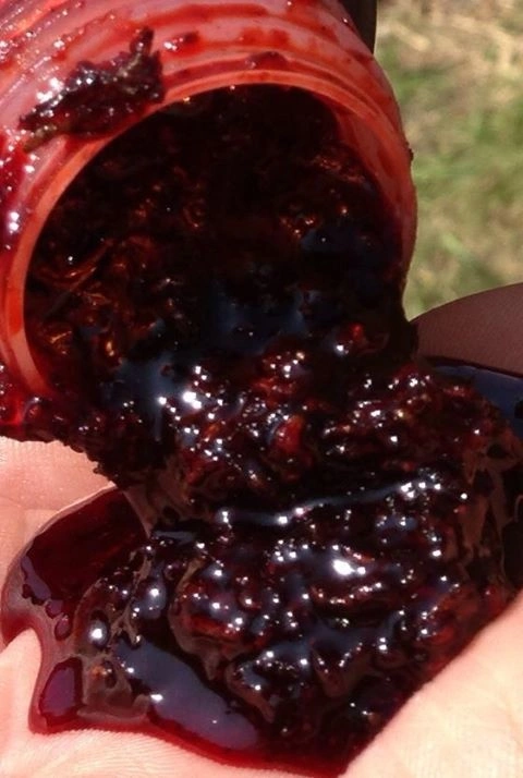 Dip STARBAITS Layerz Bloodworm 200ml