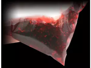 Dip STARBAITS Layerz Bloodworm 200ml