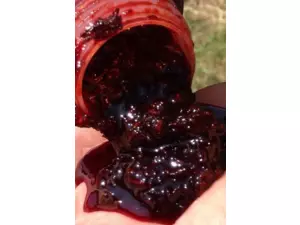 Dip STARBAITS Layerz Bloodworm 200ml