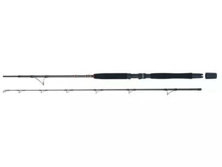 WFT Prut Go North II 2,1 m 30 lb 200-600 g